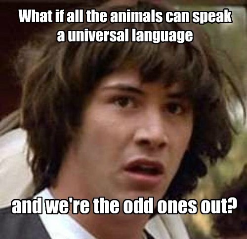 Conspiracy Theory Keanu Reeves Meme On Animals Speaking a Universal Language