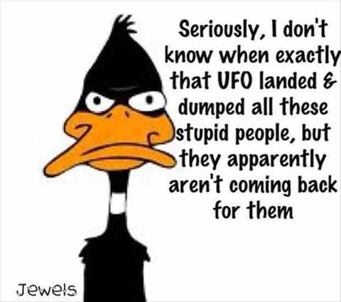 Daffy-Duck-Quote-On-Aliens-Dropping-Off-