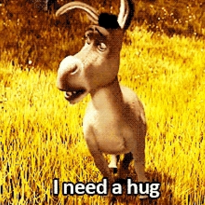 Sad Donkey Needs A Hug In Shrek Gif