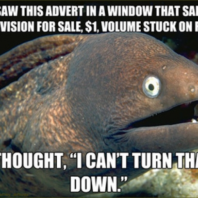 Bad Joke Eel Meme Goes Shopping For a New TV
