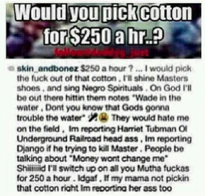 Would You Pick Cotton For 250 Dollars An Hour Question