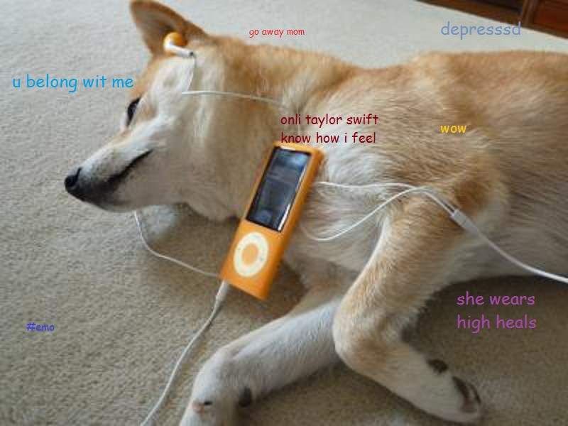 Doge Meme Is Feeling Depressed While Listening To Taylor Swift