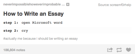 college application essay writing help tumblr