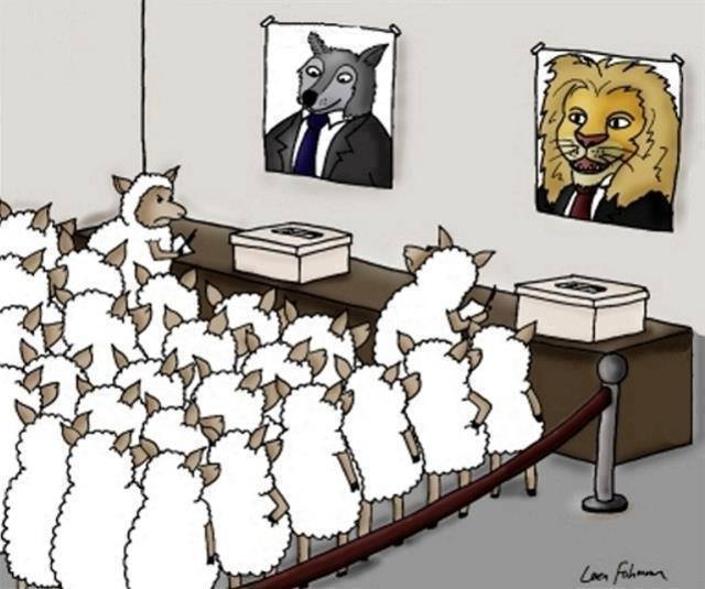 http://sadmoment.com/wp-content/uploads/2013/12/Sheep-On-Voting-For-a-Lion-Or-a-Wolf-On-Election-Day.jpg